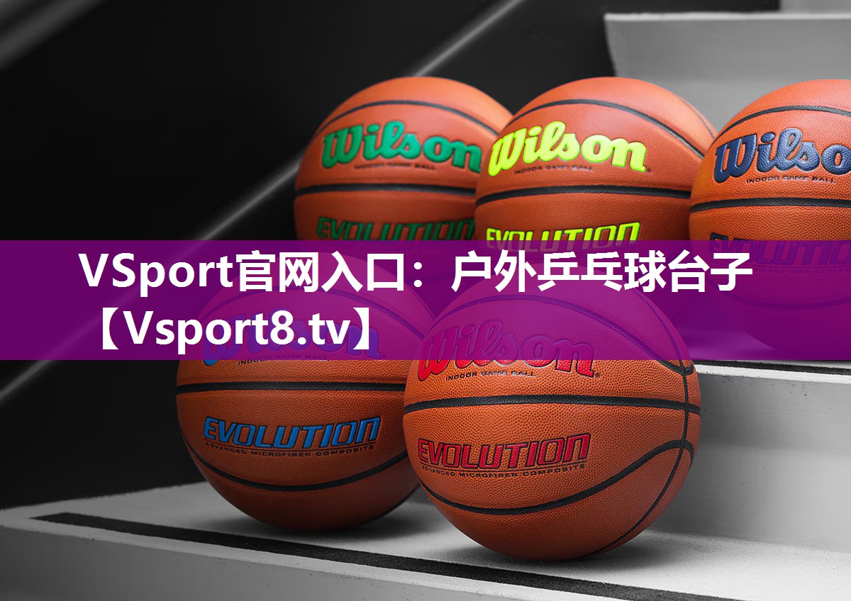 VSport官网入口：户外乒乓球台子