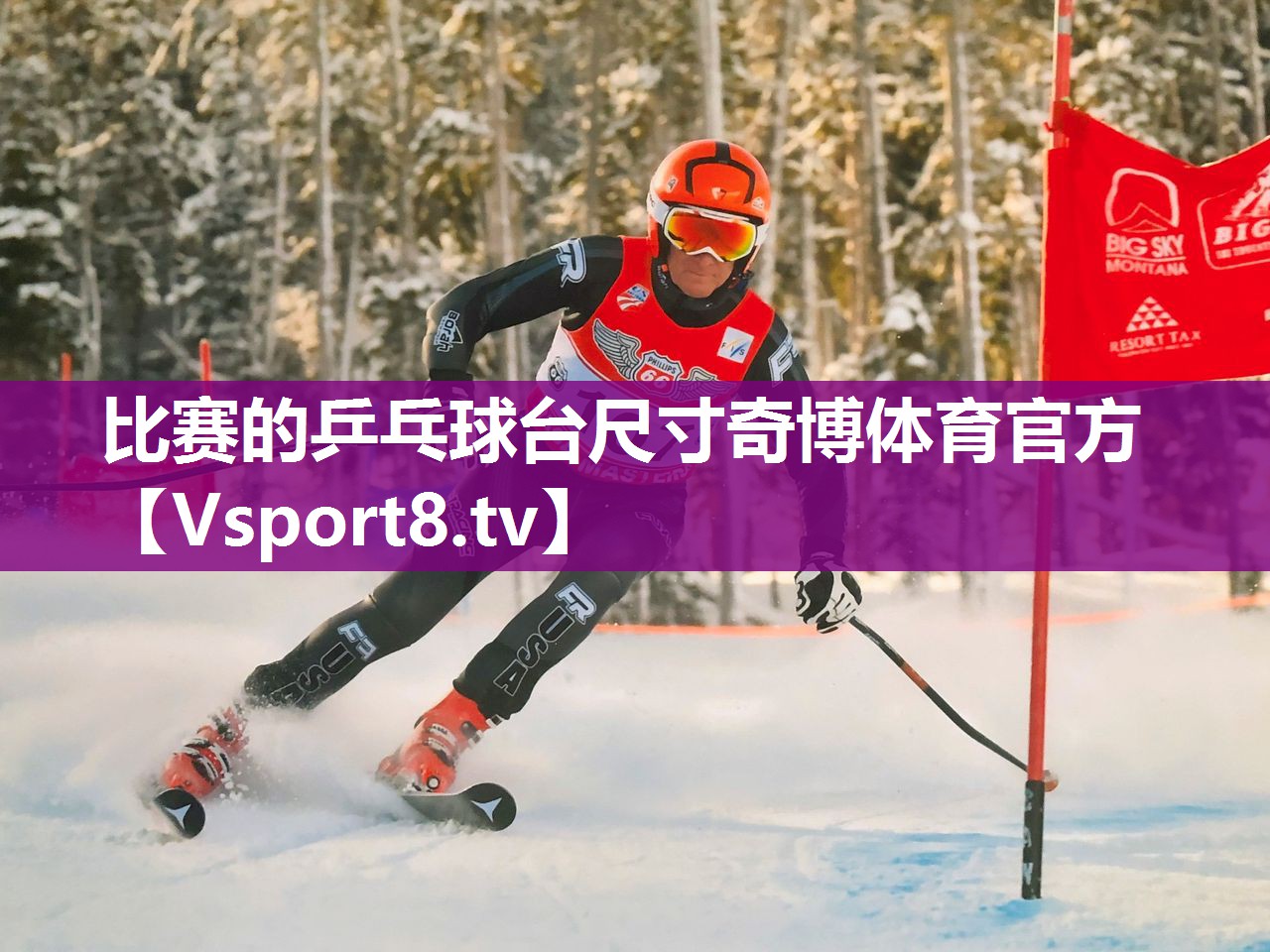 比赛的乒乓球台尺寸奇博体育官方