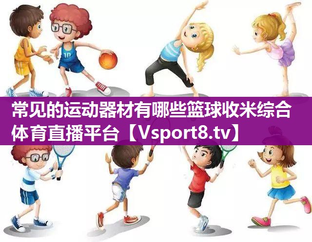 常见的运动器材有哪些篮球收米综合体育直播平台