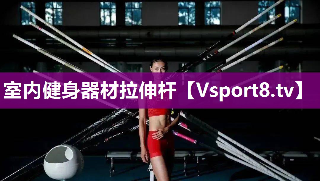 室内健身器材拉伸杆