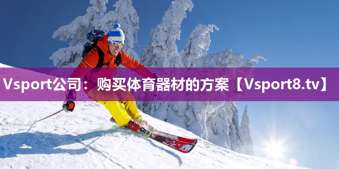 Vsport公司：购买体育器材的方案
