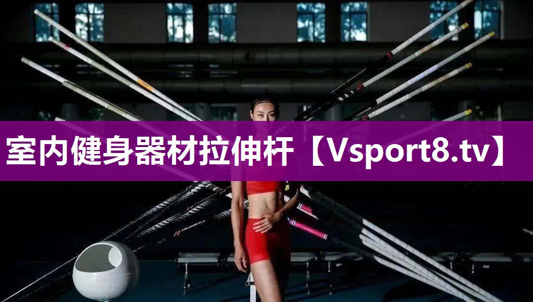 室内健身器材拉伸杆